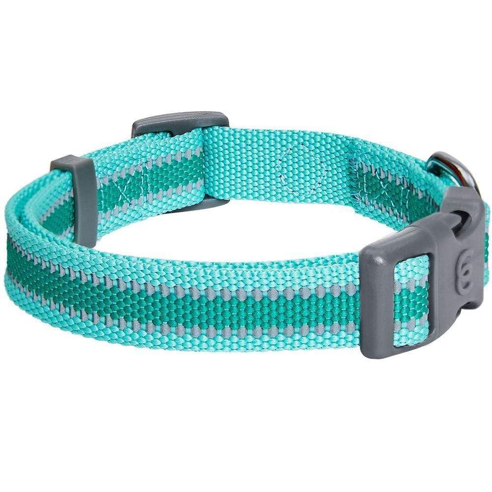 Blueberry Pet Essentials eco friendly buckle supports responsible pet gear choices.