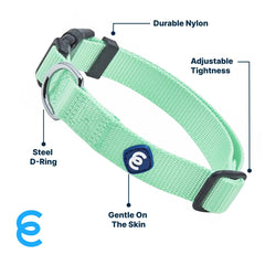Blueberry Pet Essentials eco-friendly buckle on pastel collar highlights sustainable design.