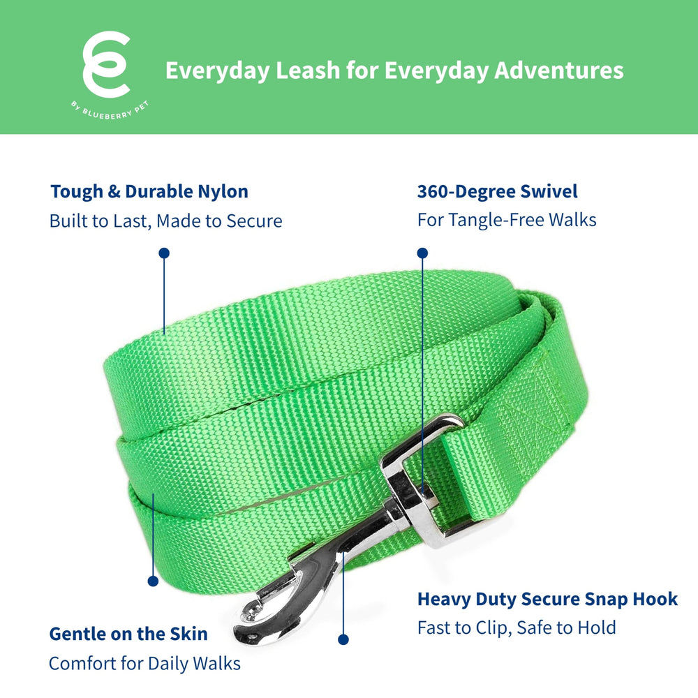 Blueberry Pet Essentials heavy-duty nylon leash closeup highlighting durable webbing and secure hardware.