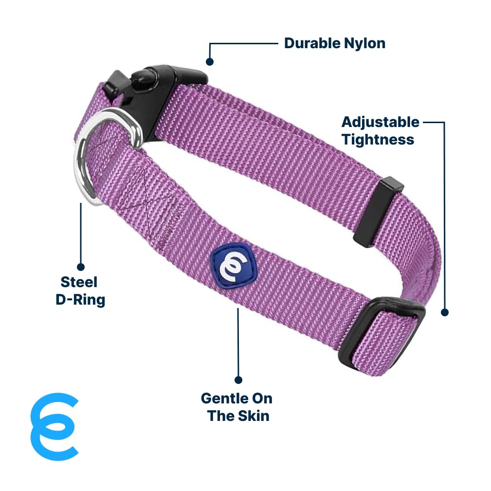 Blueberry Pet Essentials durable nylon collar for long-lasting daily adventures.