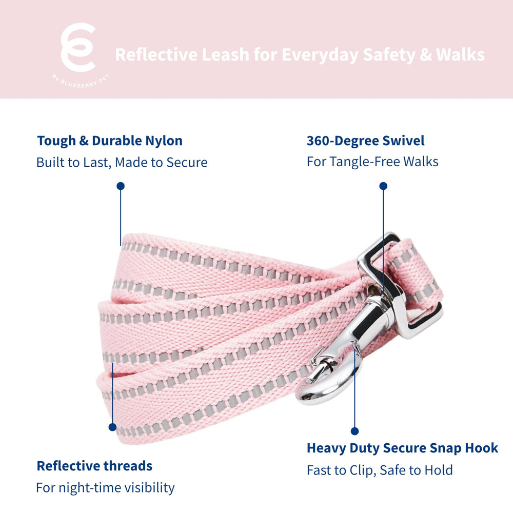 Blueberry Pet Essentials leash buckle closeup highlights eco-friendly components