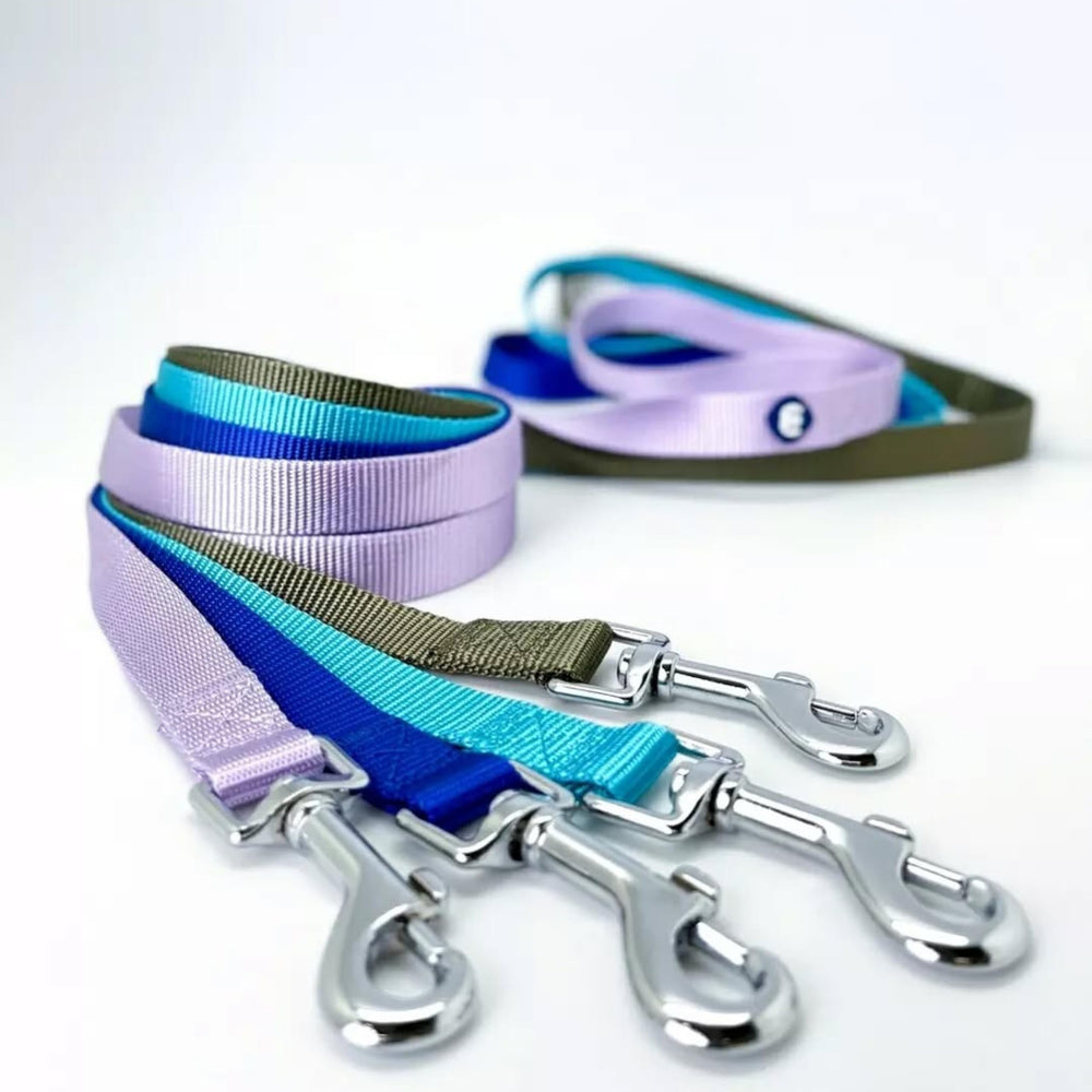 Blueberry Pet Essentials matching-accessories leash-collar set for coordinated pet outfits.