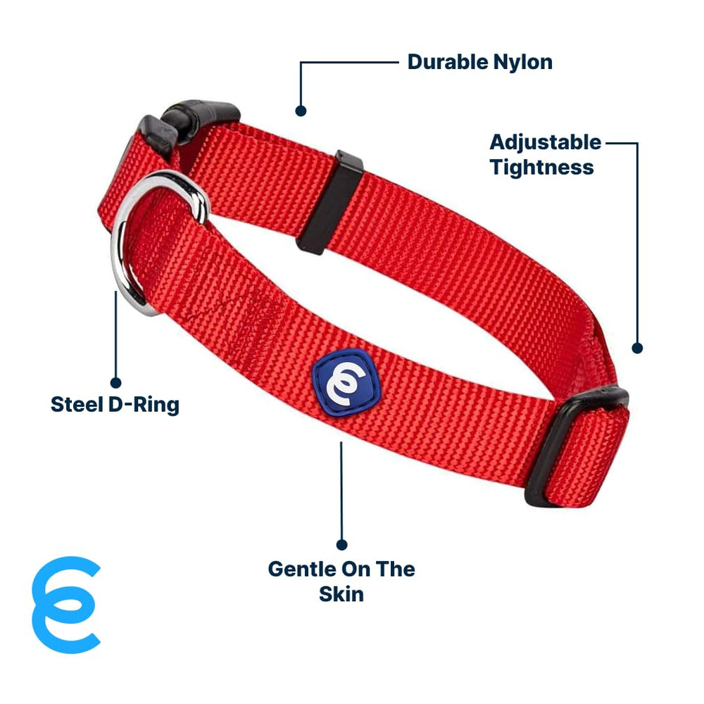 Blueberry Pet Essentials medium collar nylon webbing closeup emphasizing eco-friendly durability