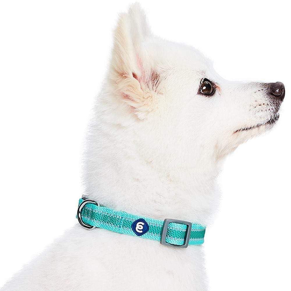 Blueberry Pet Essentials nylon webbing close up shows durability and light comfort.
