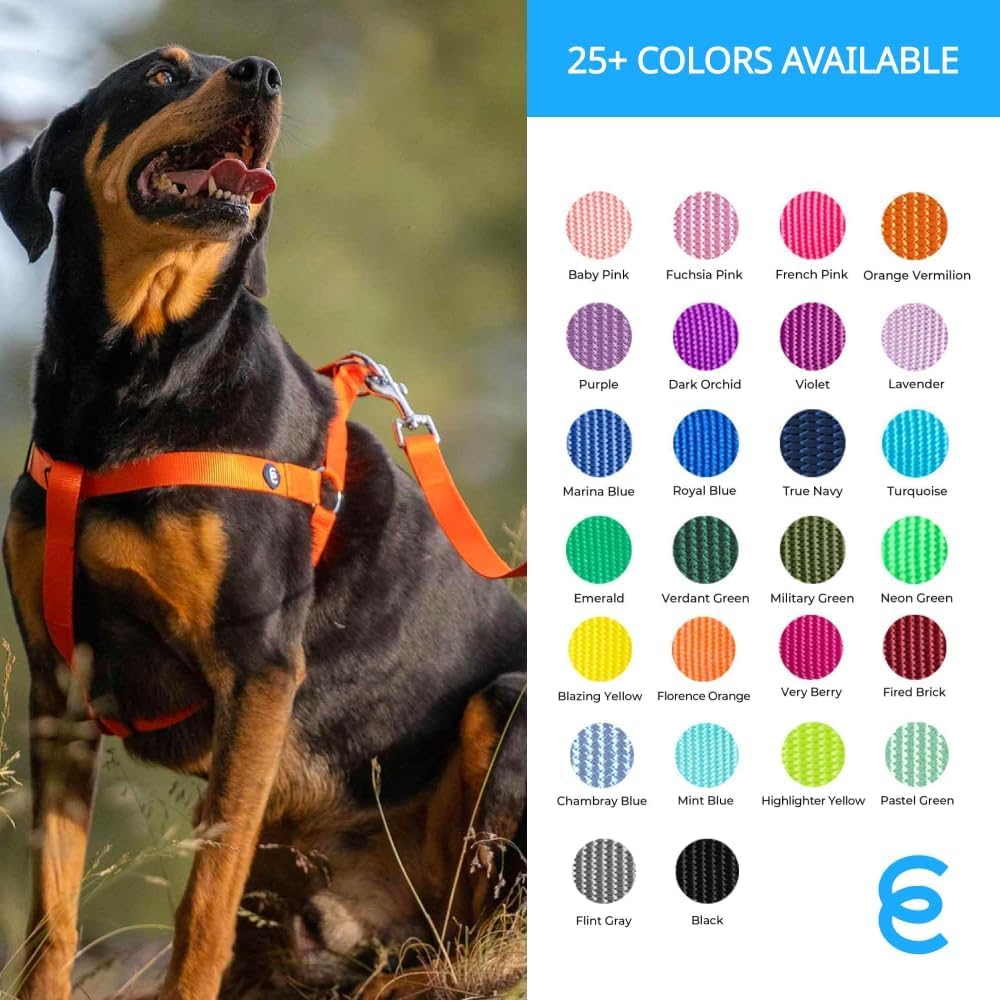 Blueberry Pet Essentials production-sample-medium-leash image illustrating product scale and quality.