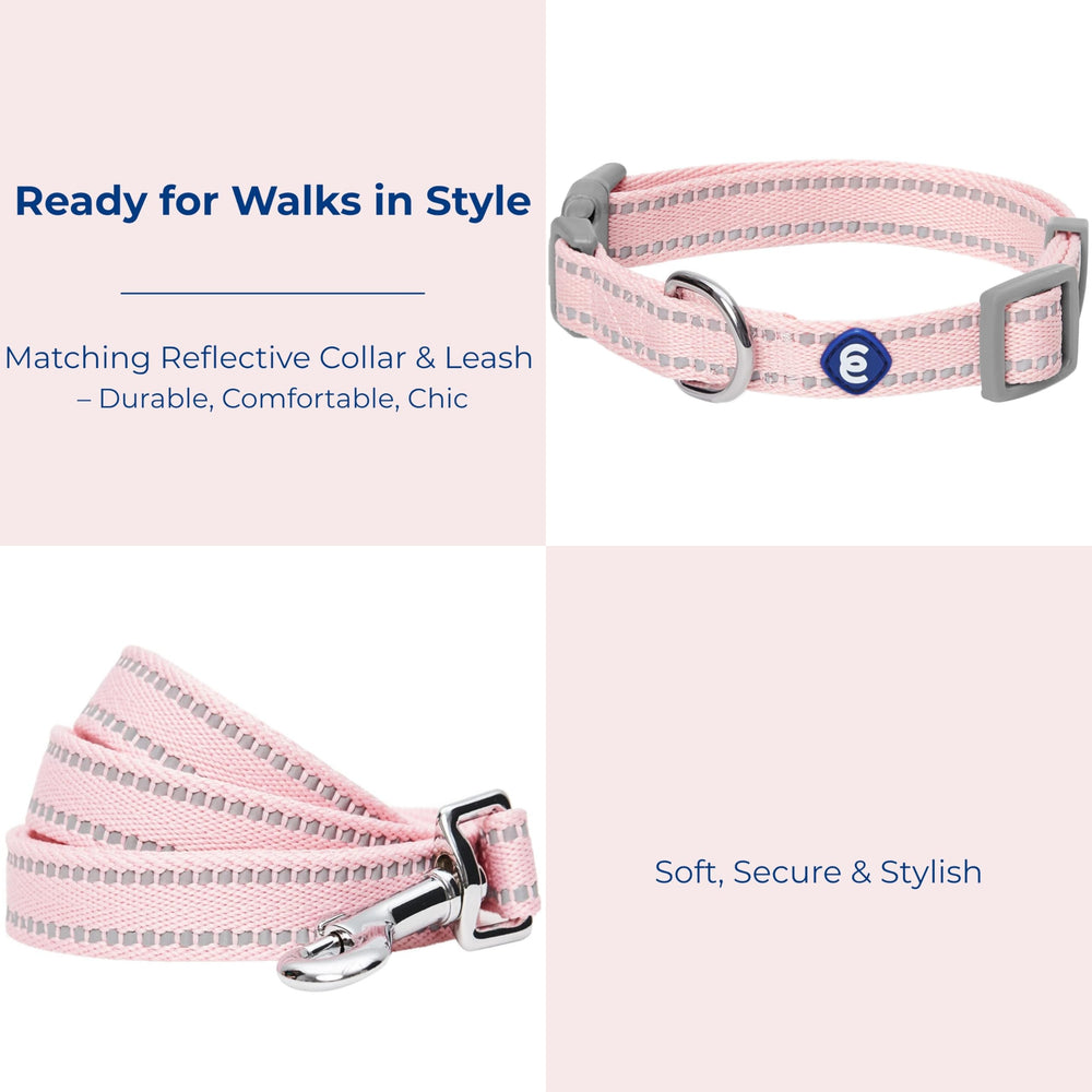 Blueberry Pet Essentials reflective leash small pink for daily walks