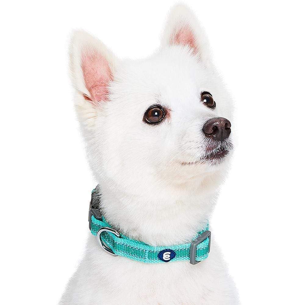 Blueberry Pet Essentials reflective rouge red collar improves nighttime visibility.