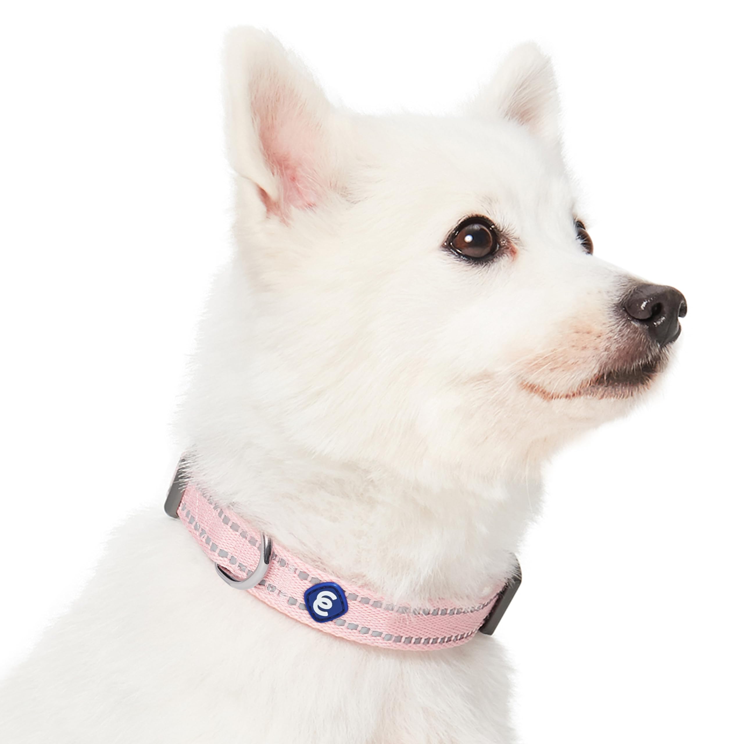 Blueberry Pet Essentials size chart illustration for small-dog adjustments