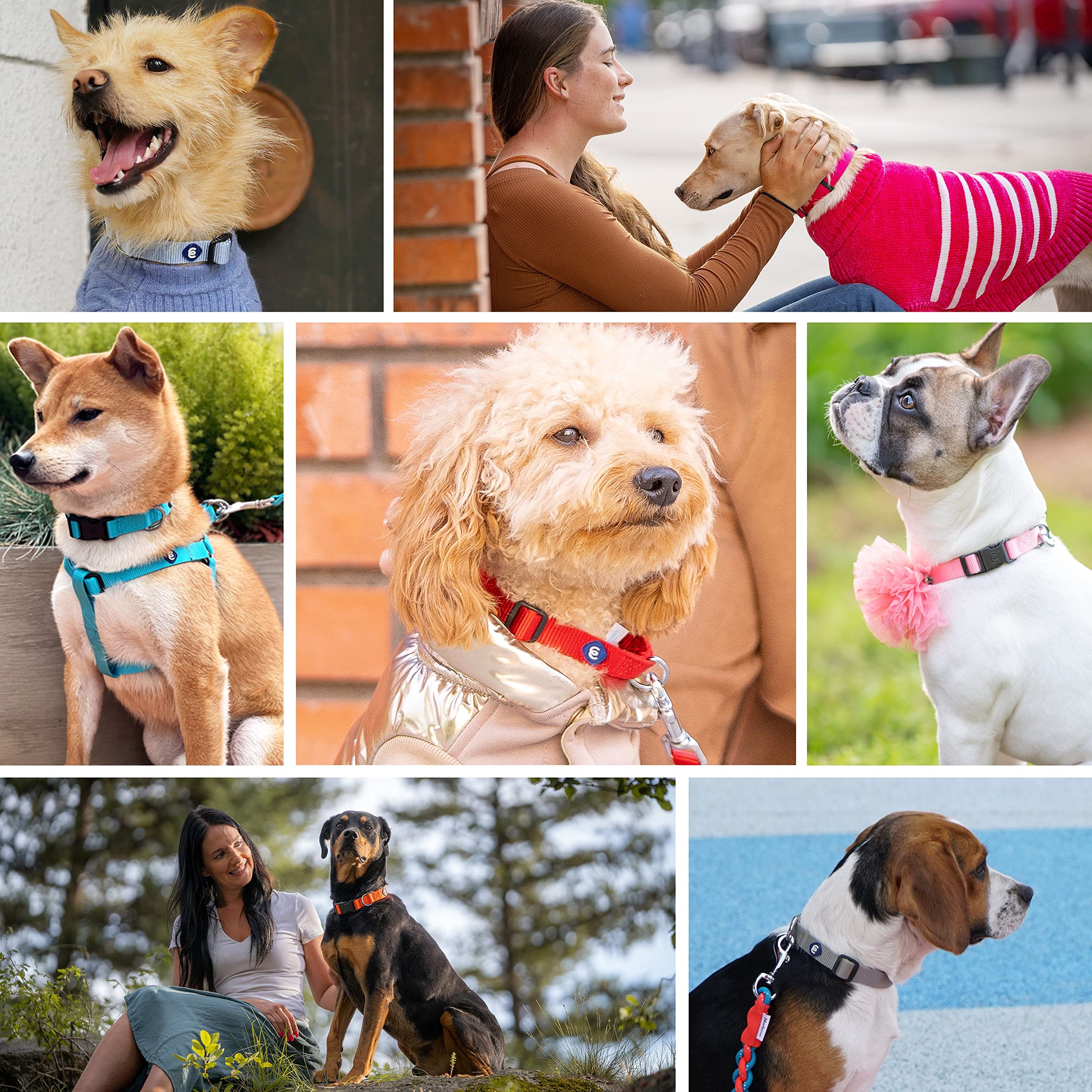 Blueberry Pet Essentials Small nylon close-up highlights durable, comfortable material.