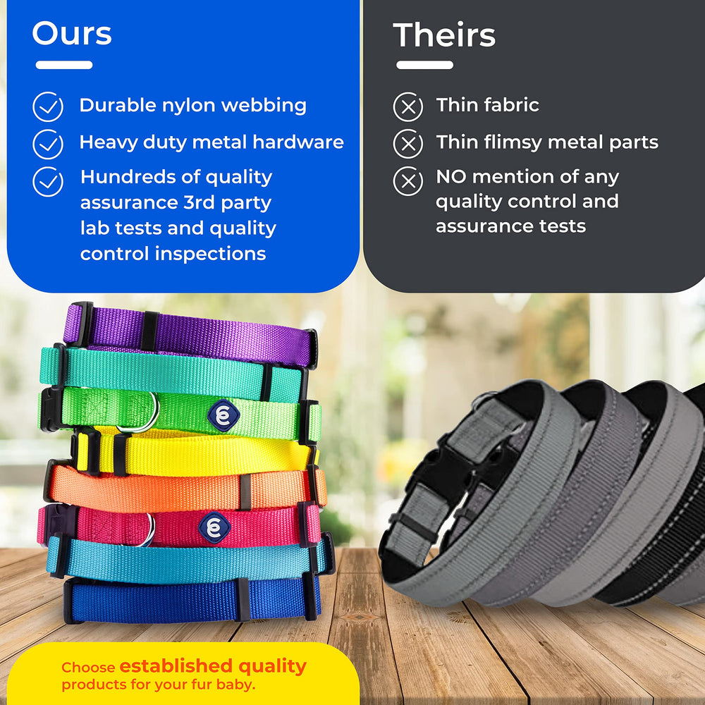 Blueberry Pet Essentials Small collar shows quick-release buckle for easy on/off.