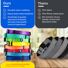 Blueberry Pet Essentials Small collar shows quick-release buckle for easy on/off.