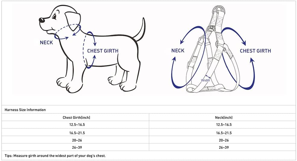 Blueberry Pet Essentials Step-in Harness care instructions emphasize quick upkeep after adventures