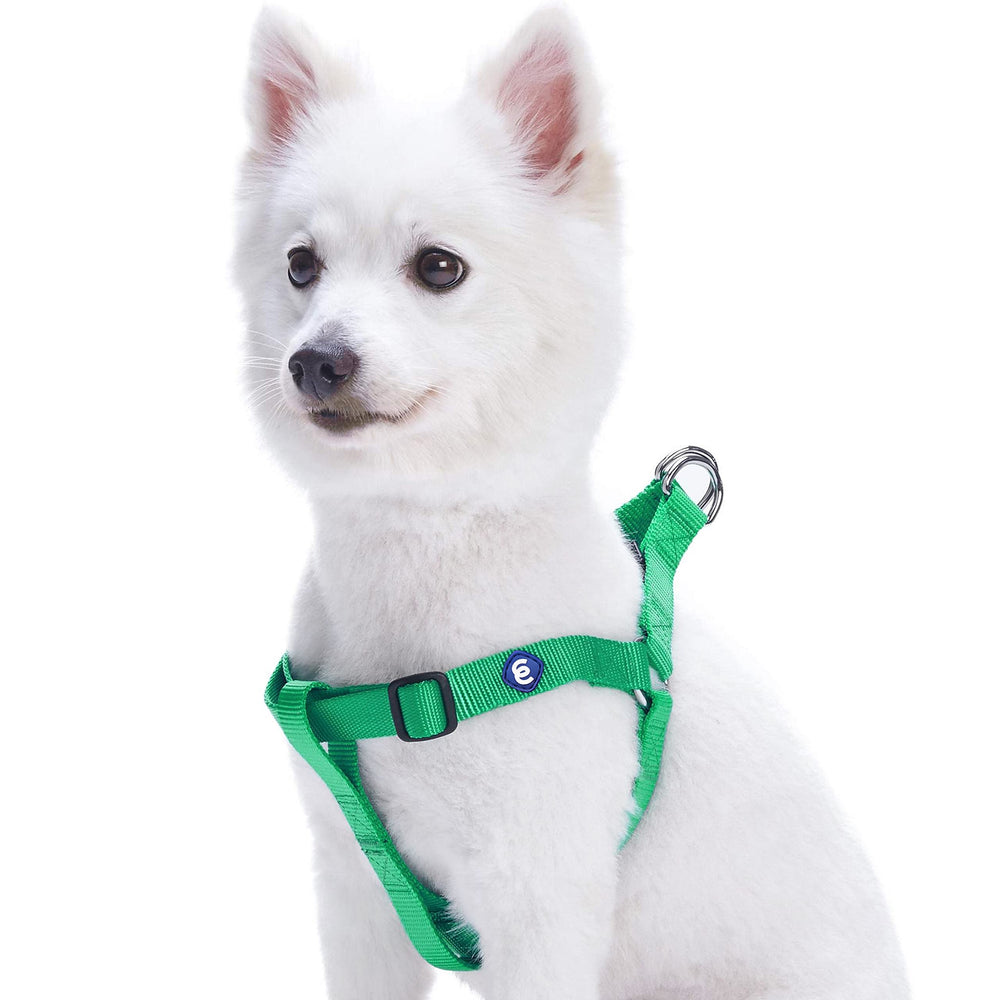 Blueberry Pet Essentials Step-in Harness emerald vest front view showing adjustable fit for secure daily walks