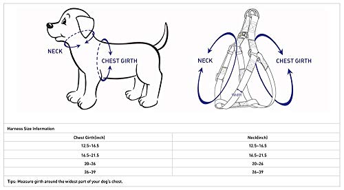 Blueberry Pet Essentials step-in harness small emerald vest close-up buckle for secure, quick fittings.