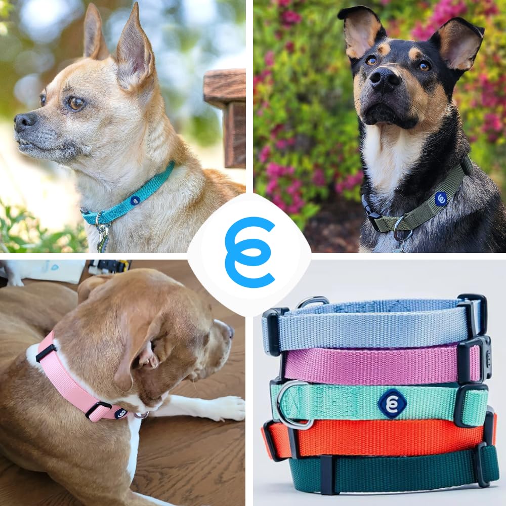 Blueberry Pet Essentials X-Small collar packaging emphasizes eco-friendly materials