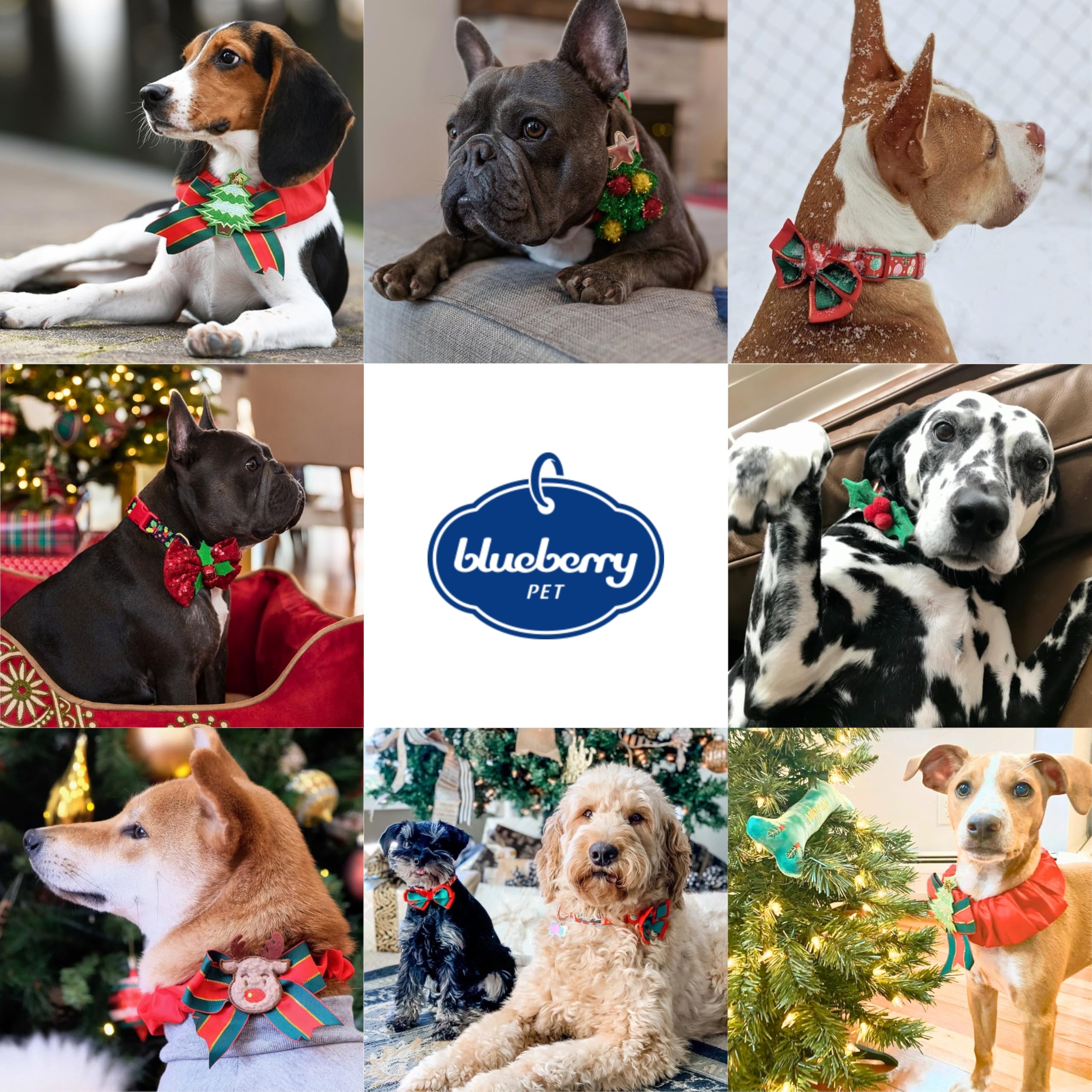 Blueberry Pet Festive Reindeer Collar adds holiday charm for Christmas celebrations