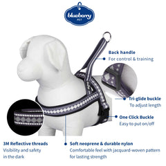 Blueberry Pet harness shows 3M reflective threads for safer night-time visibility