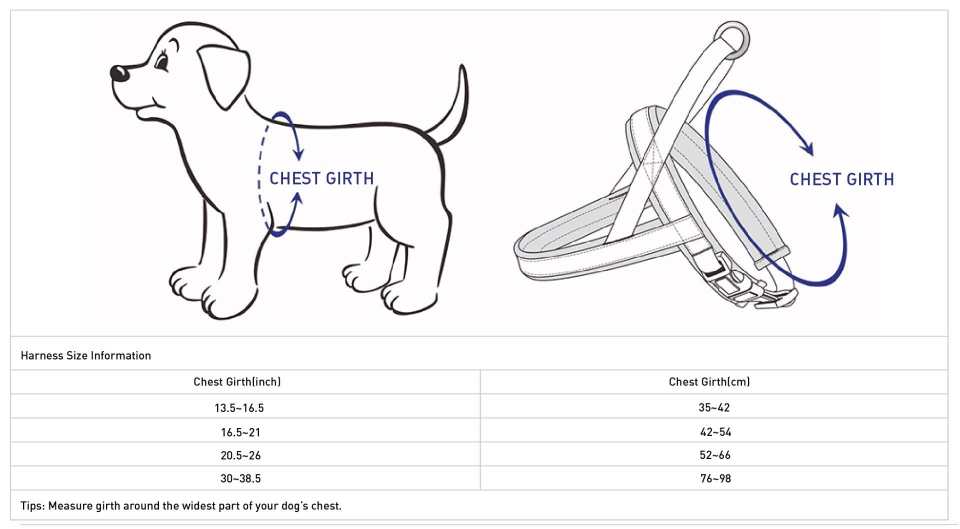 Blueberry Pet harness durability stitching detail confirms reinforced construction.