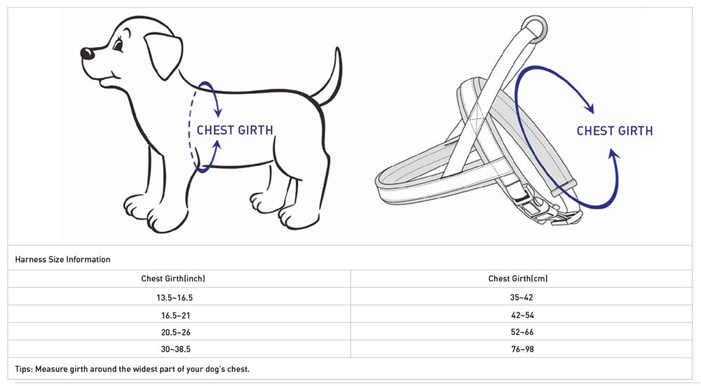 Blueberry Pet production-sample photos show color and stitching quality