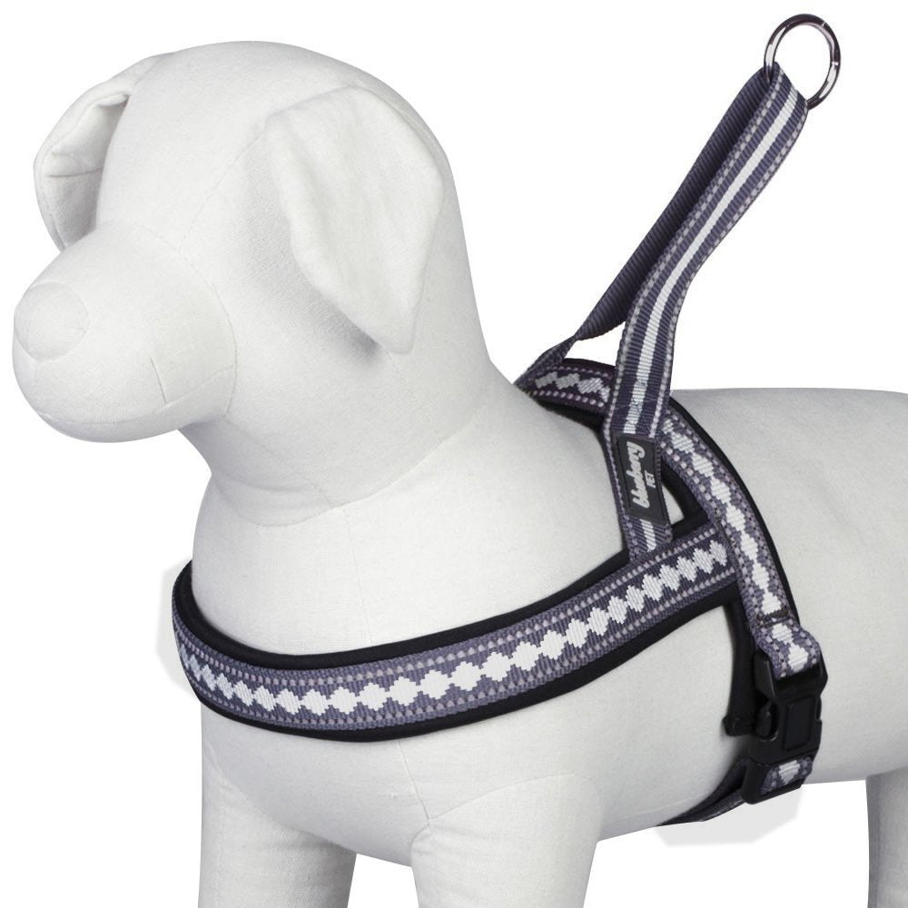 Blueberry Pet harness purple-grey model wearing for comfortable daily walks.
