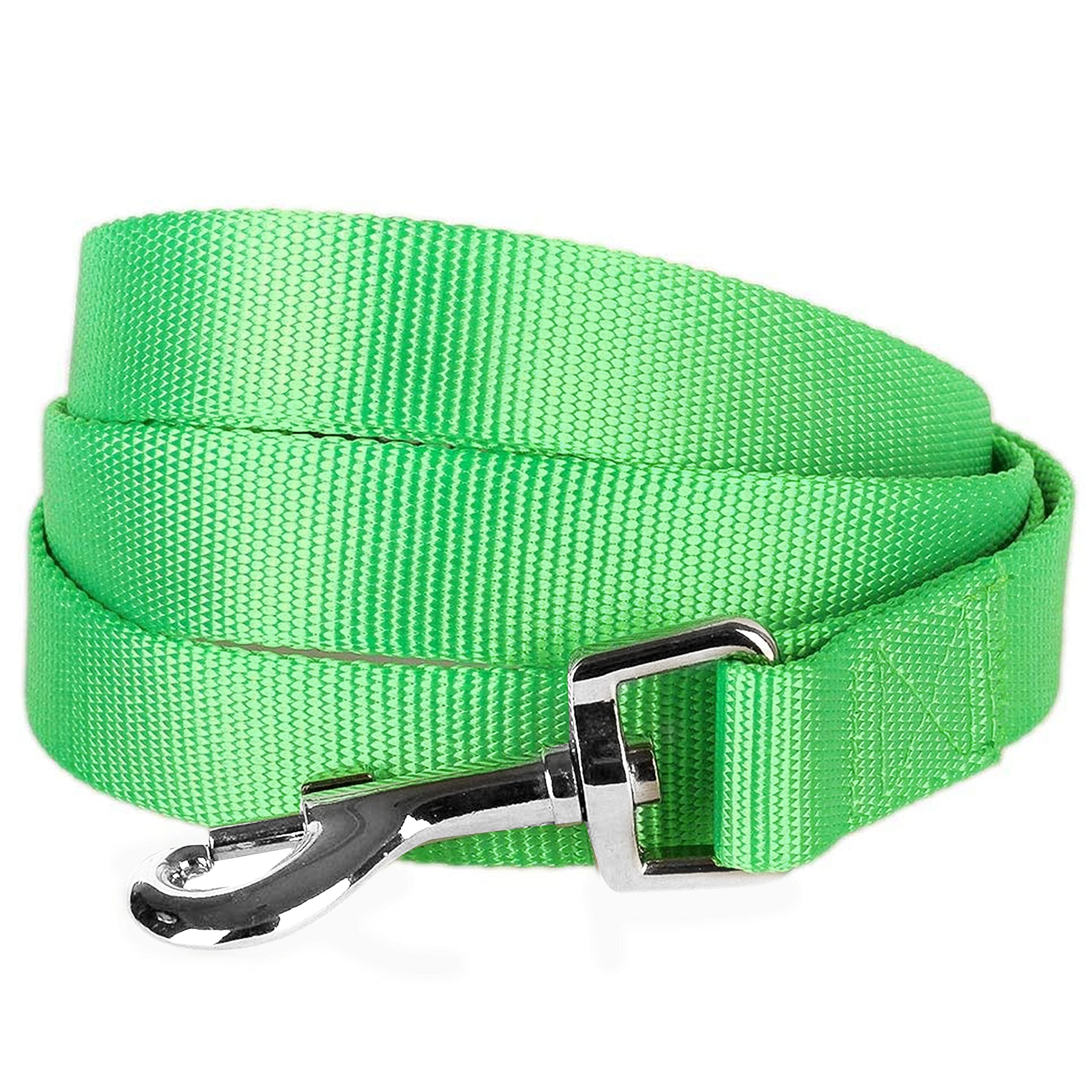 Blueberry Pet neon green dog leash small 5ft with high visibility for daily safe strolls.
