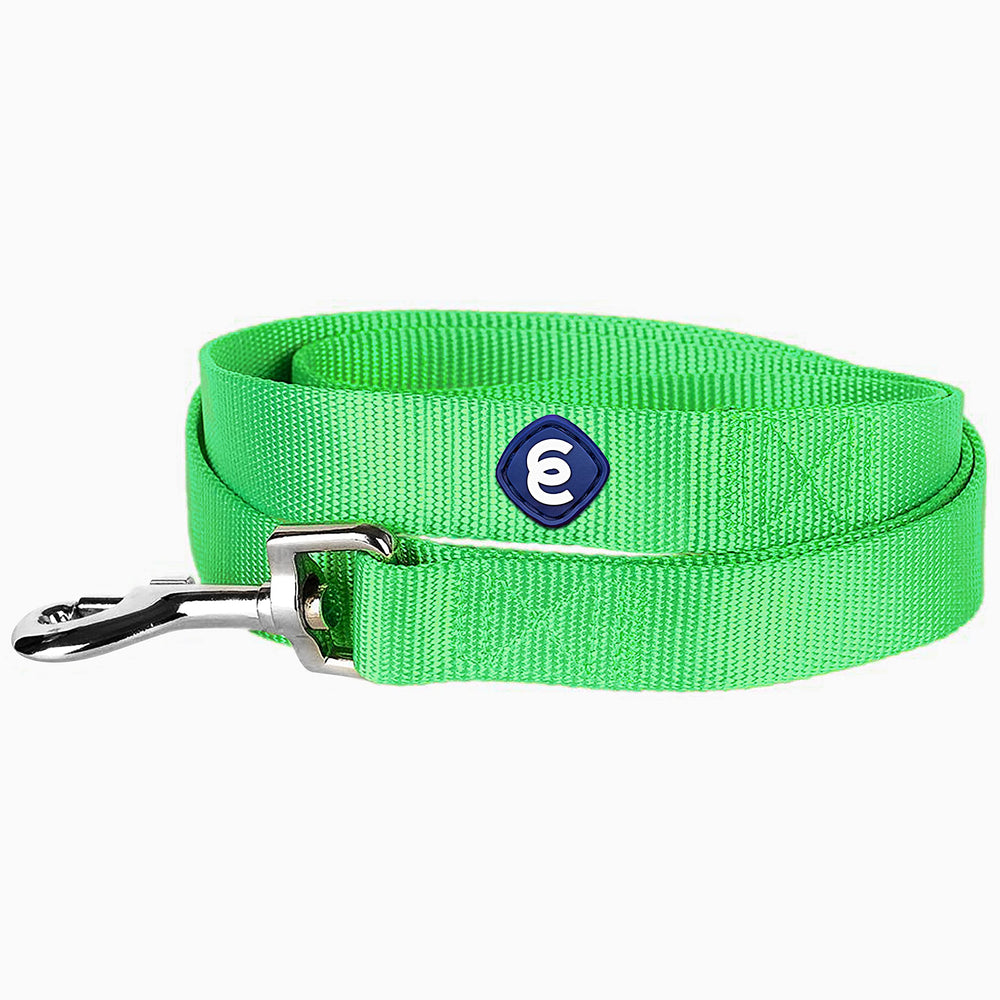 Blueberry Pet Neon Green Leash On-Dog Walk demonstrates visibility during dusk outings.
