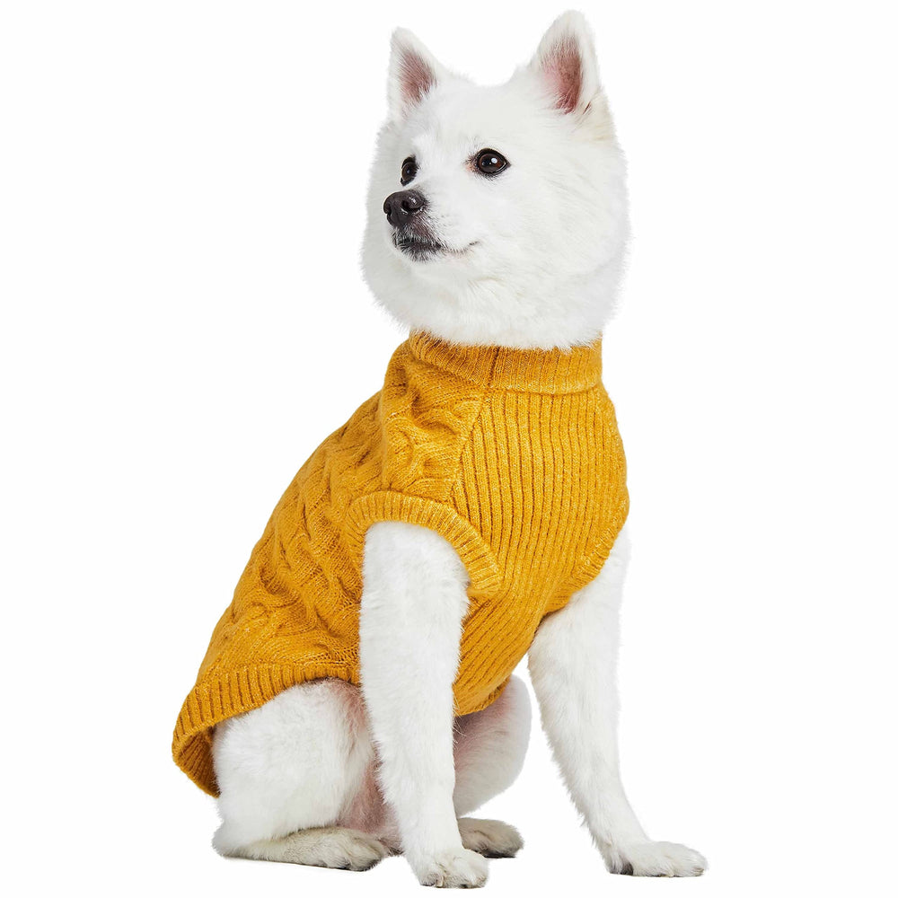 Blueberry Pet knit pullover on dog at the park, breathable yet warm.