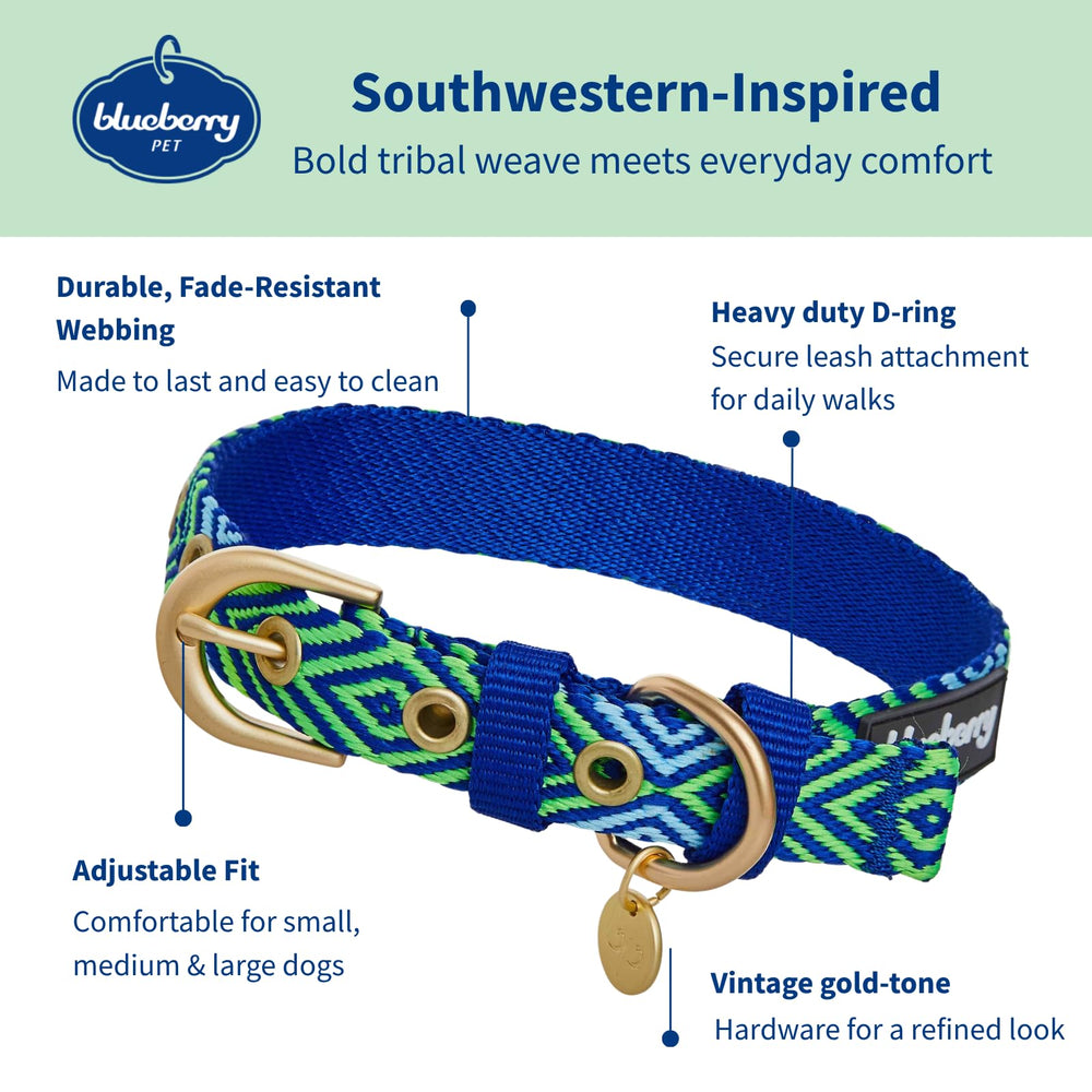 Blueberry Pet green collar close-up of gold buckle, sturdy hardware for secure walks