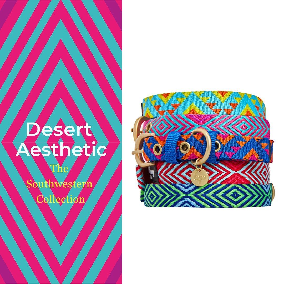 Blueberry Pet green tribal collar front view with adjustable fit for small dogs