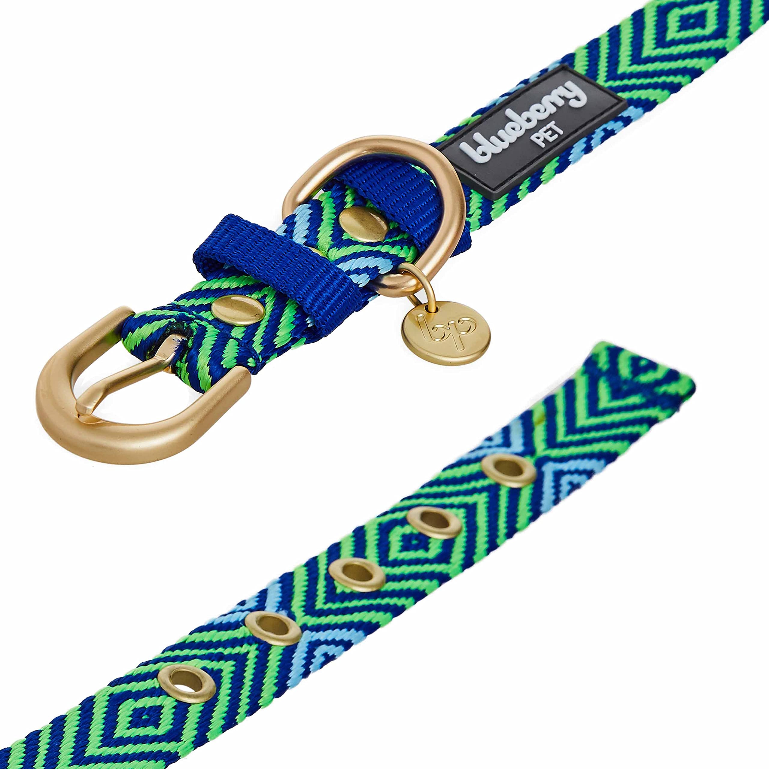 Blueberry Pet green collar worn by small dog, showing secure metal buckle