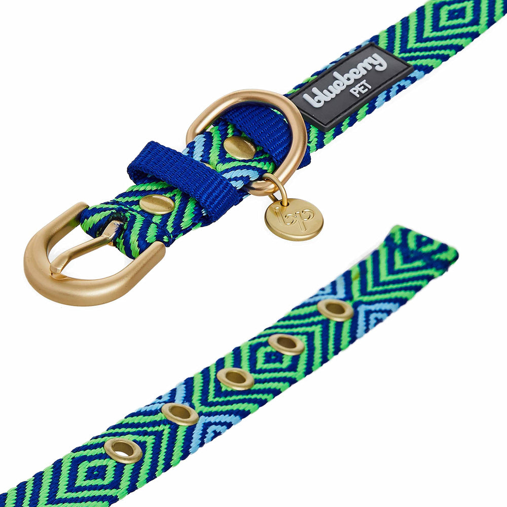 Blueberry Pet green collar worn by small dog, showing secure metal buckle