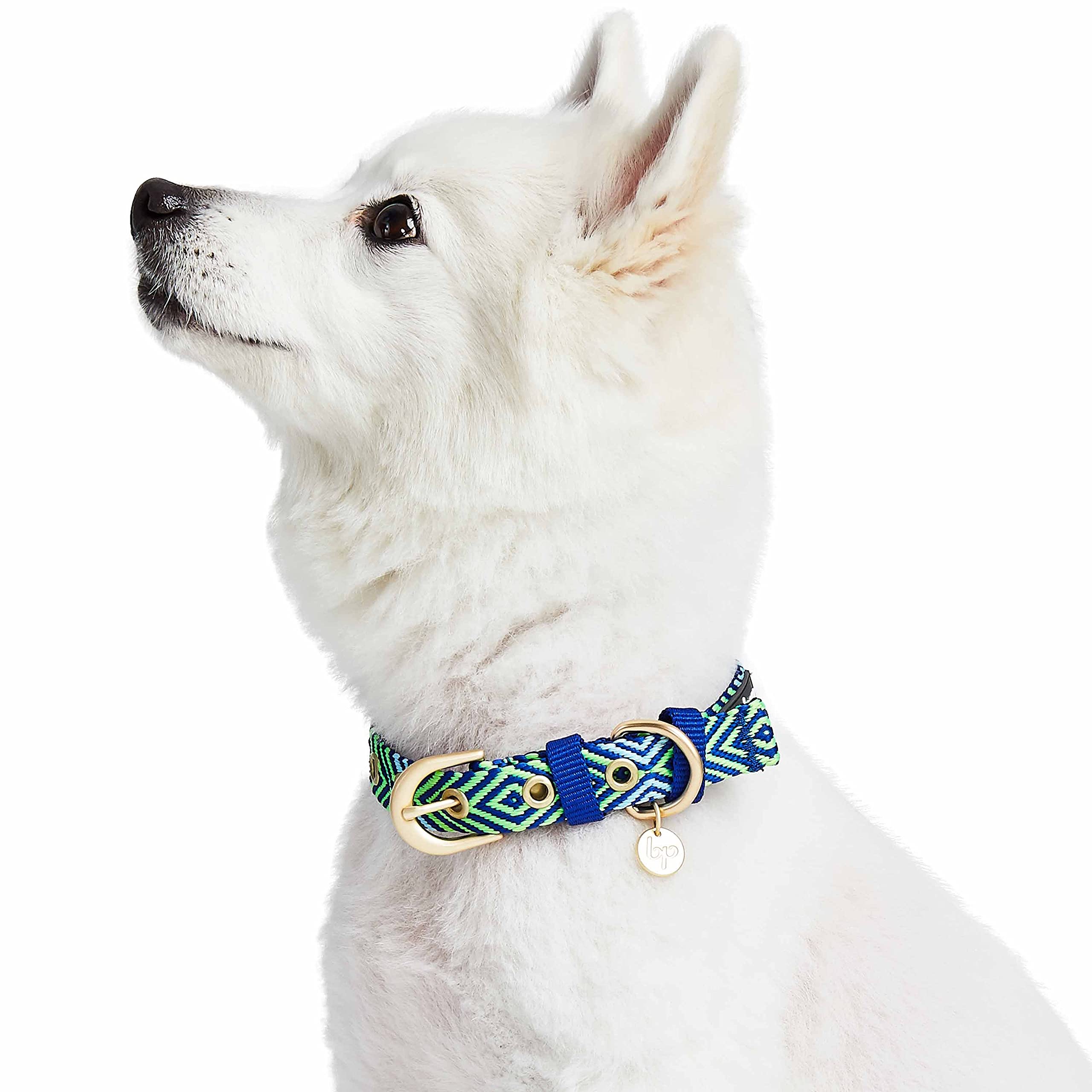 Blueberry Pet collar neck size 9-12.5 inches with clear size guidance
