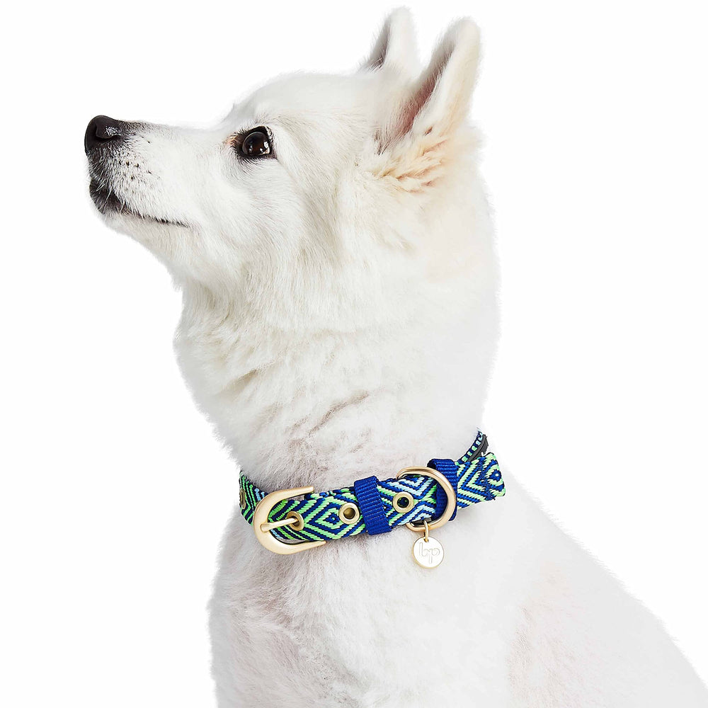 Blueberry Pet collar neck size 9-12.5 inches with clear size guidance