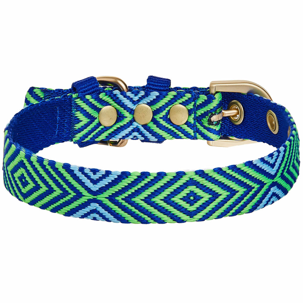 Blueberry Pet green collar with gold hardware, stylish safety for everyday outings