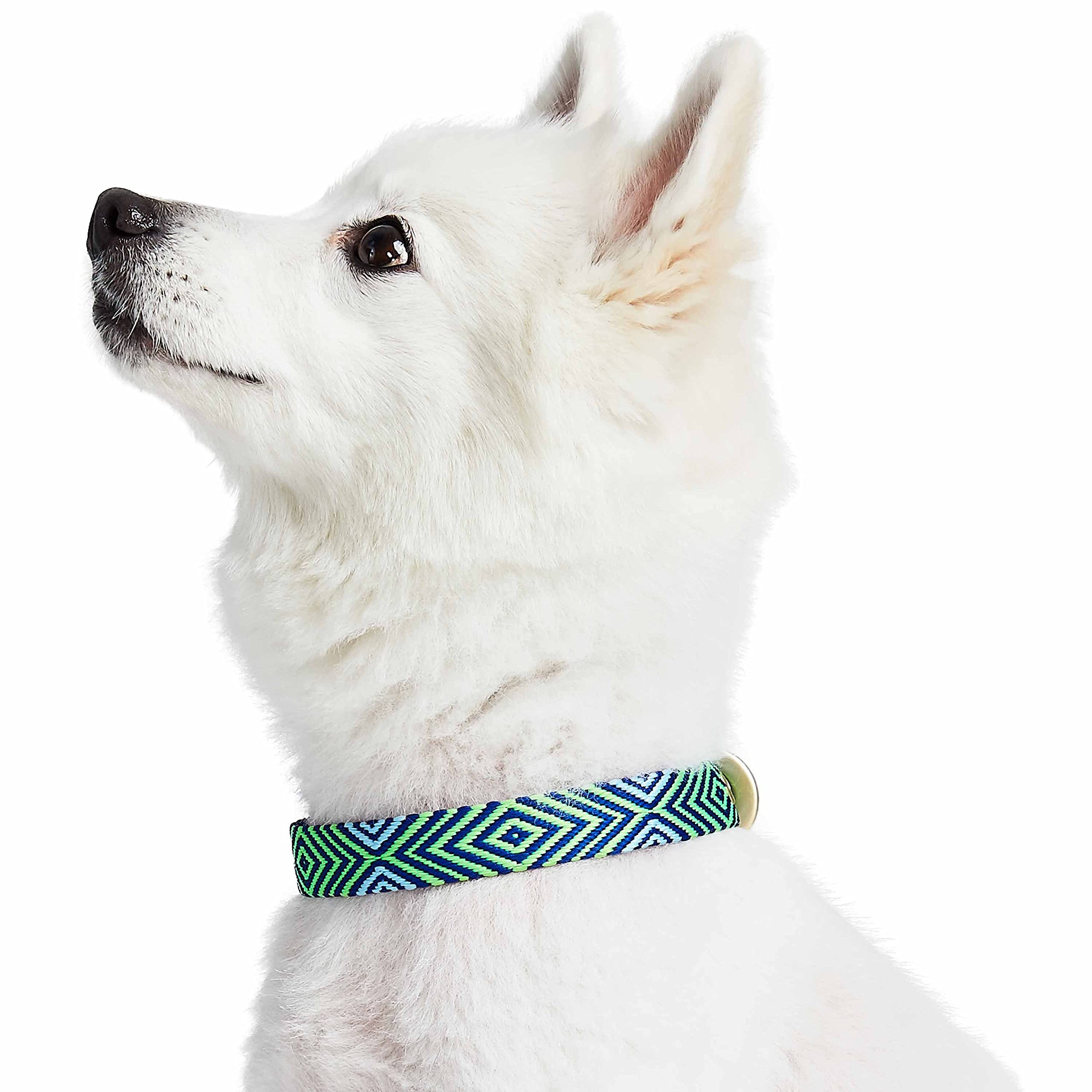 Blueberry Pet green collar 5/8 inch width provides comfortable daily wear