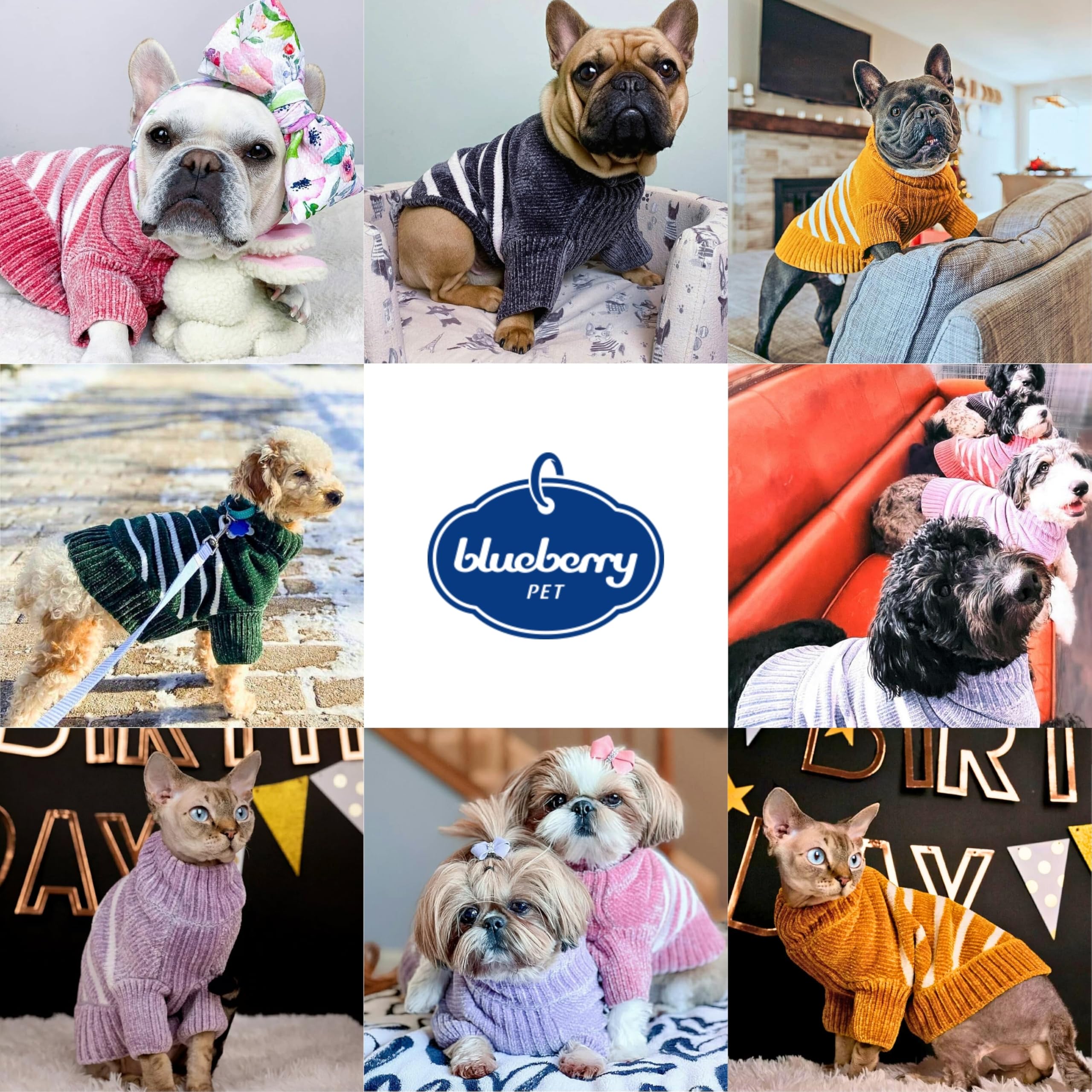 Blueberry Pet suéter chenille rosa diseño rayas con estilo clásico