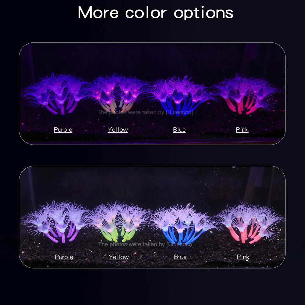 Bluecoco aquarium decorations glow under light for vivid nocturnal shimmer.