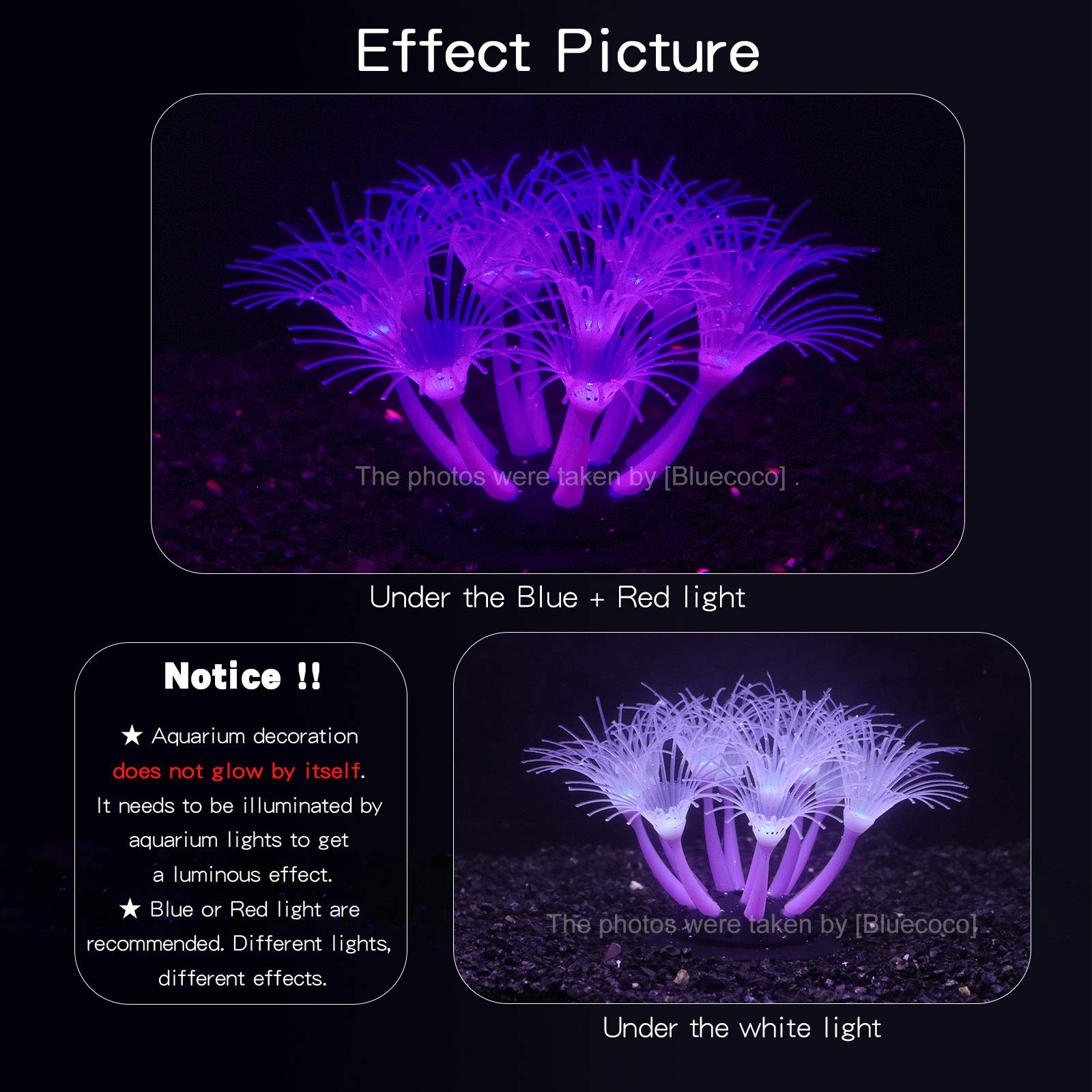 Bluecoco glowing coral ornament purple enhances night-time aquarium ambiance.