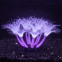 Bluecoco soft silica gel moves with water flow, adding gentle motion to your tank decor.