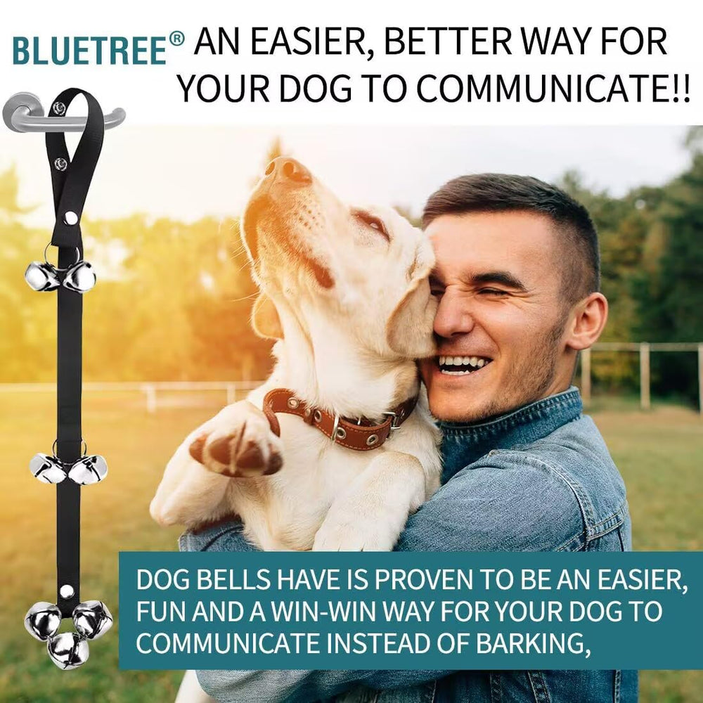 BLUETREE responsive customer support enhances your training journey.