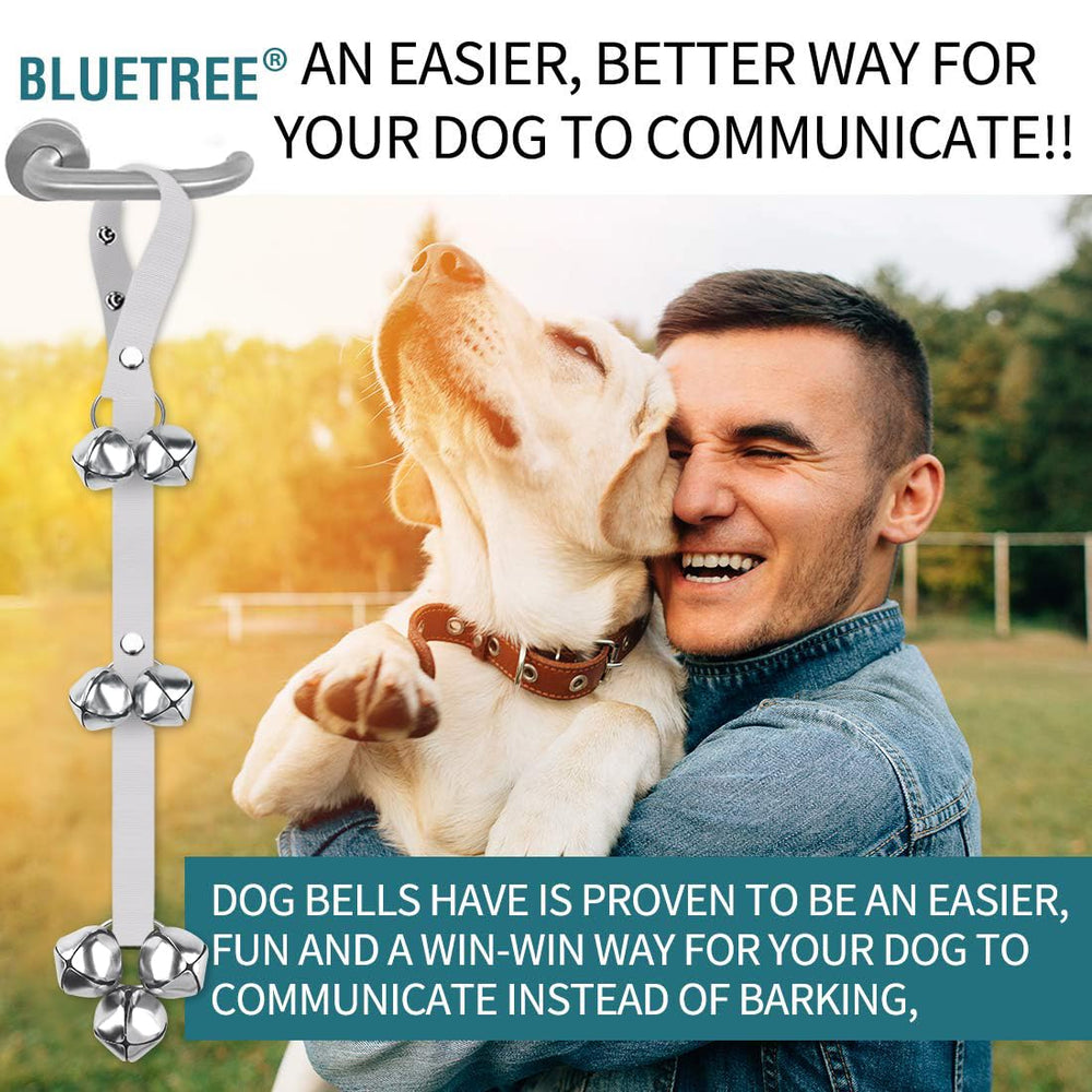 BLUETREE dog doorbells in use signals potty breaks for training progress.