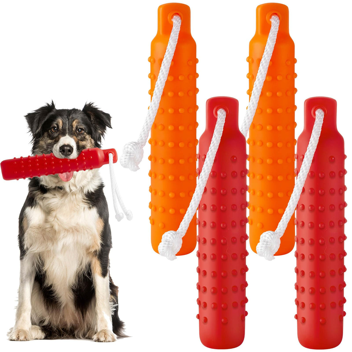 Blueweenly dog float bumper packed for performance during training sessions
