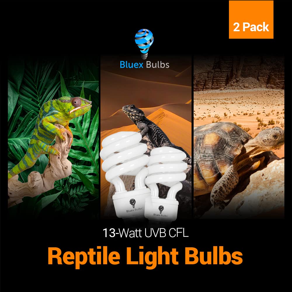 Bluex Bulbs bearded dragon and tortoise setup using desert reptile light