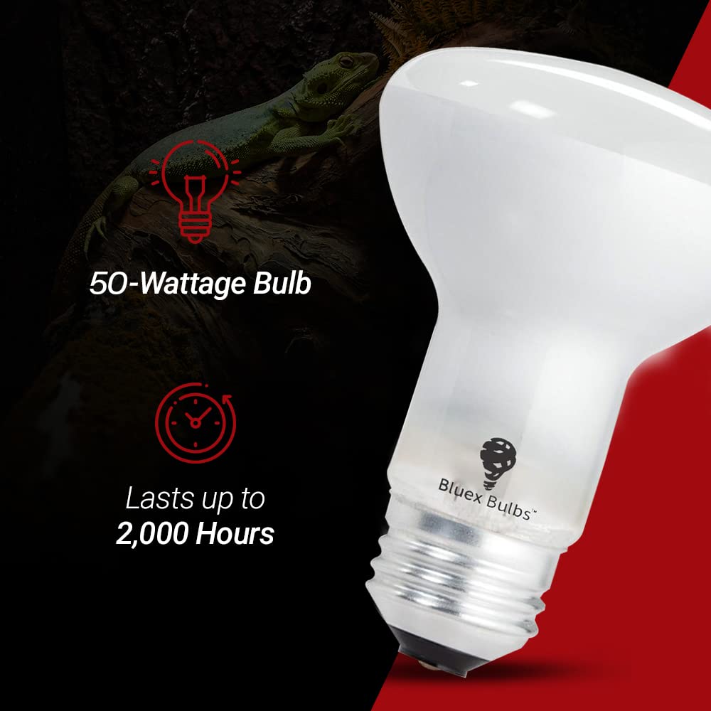 Bluex Bulbs broad-spectrum daylight mimics sun for active reptile days.