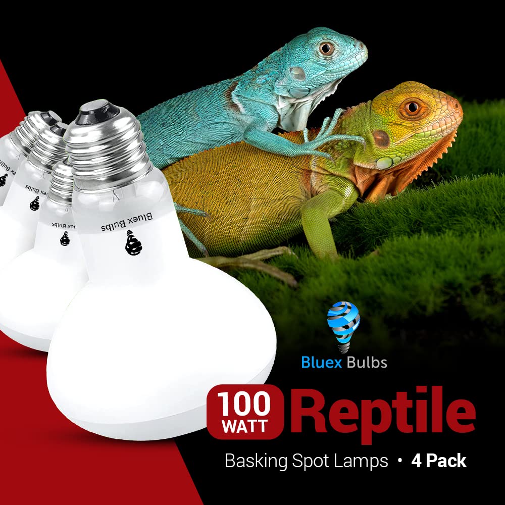 Bluex Bulbs daytime basking promotes natural behavior for reptiles such as lizards and iguanas.