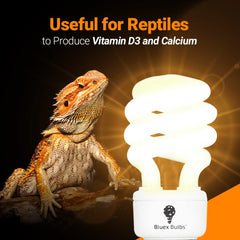 Bluex Bulbs desert-dweller terrarium setup highlighting UVA and UVB lighting