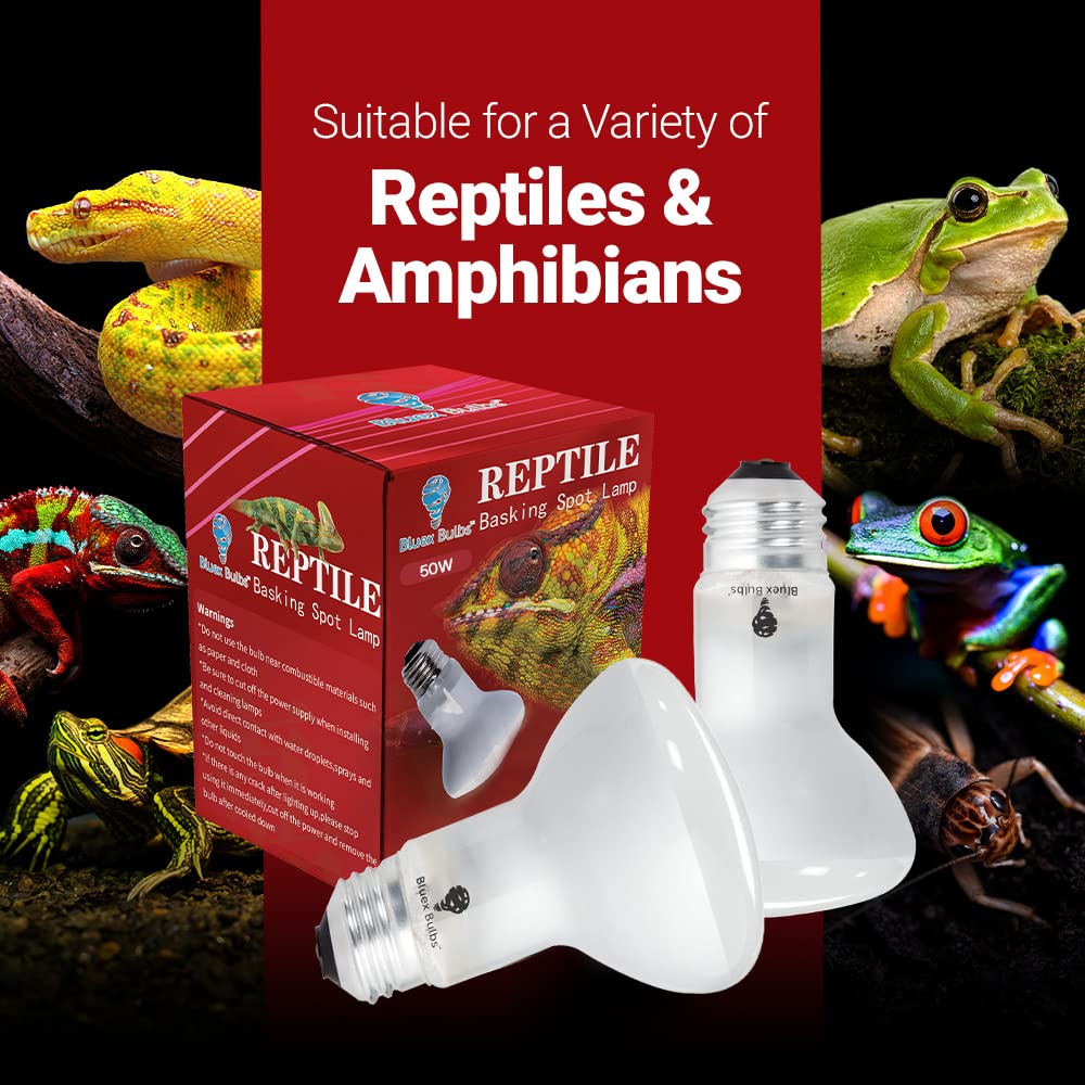 Bluex Bulbs e26-base installation for quick, secure fitting.