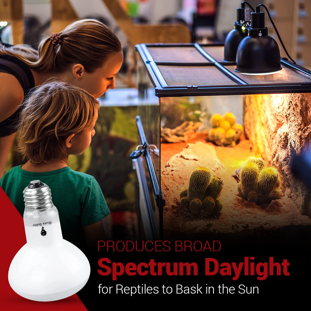Bluex Bulbs glass terrarium scene highlights heat diffusion for reptiles.