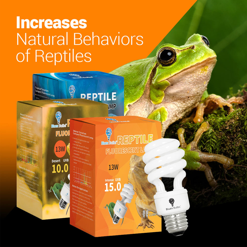 Bluex Bulbs long-lasting UVB bulb demonstrating extended lamp life