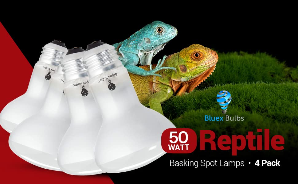 Bluex Bulbs long-life-2000-hours offers durability for continuous use.